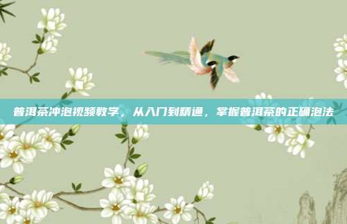 普洱茶冲泡视频教学，从入门到精通，掌握普洱茶的正确泡法