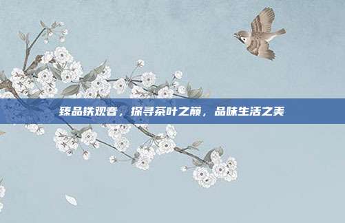 臻品铁观音，探寻茶叶之巅，品味生活之美