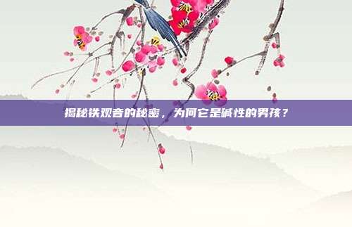 揭秘铁观音的秘密，为何它是碱性的男孩？