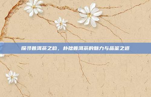 探寻普洱茶之韵，朴拙普洱茶的魅力与品鉴之道