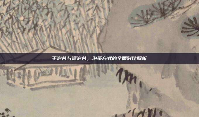 干泡台与湿泡台，泡茶方式的全面对比解析