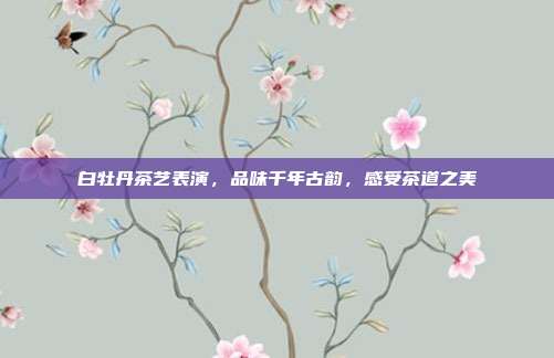 白牡丹茶艺表演，品味千年古韵，感受茶道之美