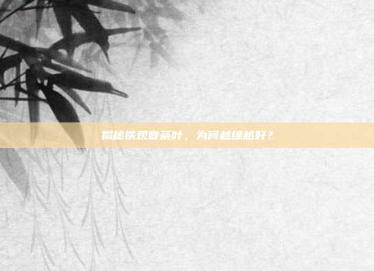 揭秘铁观音茶叶，为何越绿越好？