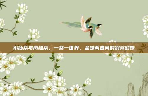 水仙茶与肉桂茶，一茶一世界，品味两者间的别样韵味
