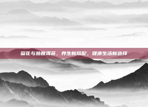 菊花与熟普洱茶，养生新搭配，健康生活新选择
