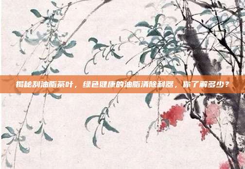 揭秘刮油脂茶叶，绿色健康的油脂清除利器，你了解多少？