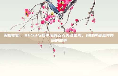 深度解析，8653与和甲沱的五大关键区别，揭秘两者差异背后的故事