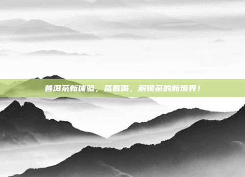 普洱茶新体验，蒸着喝，解锁茶的新境界！