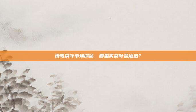 贵阳茶叶市场探秘，哪里买茶叶最地道？