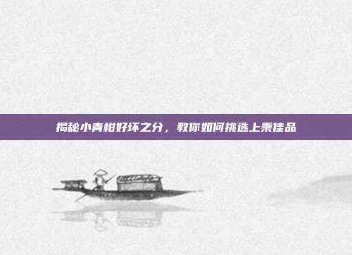 揭秘小青柑好坏之分，教你如何挑选上乘佳品