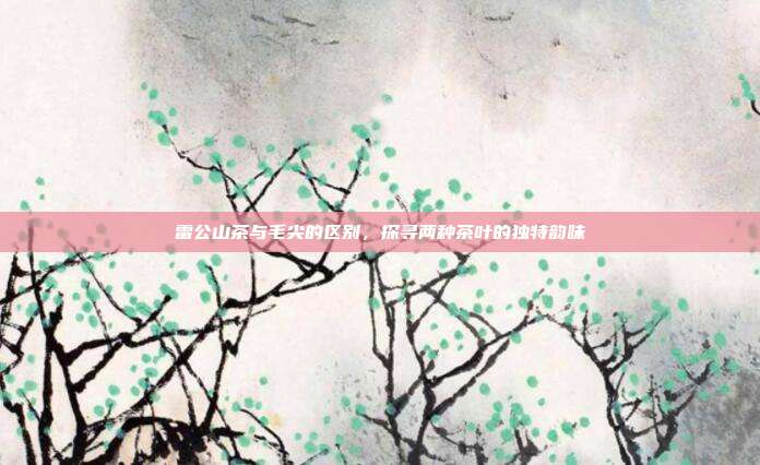 雷公山茶与毛尖的区别，探寻两种茶叶的独特韵味