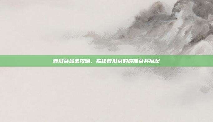 普洱茶品鉴攻略，揭秘普洱茶的最佳茶具搭配