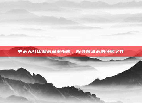 中茶大红印熟茶品鉴指南，探寻普洱茶的经典之作
