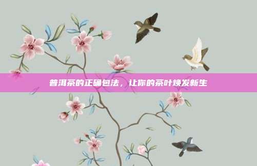 普洱茶的正确包法，让你的茶叶焕发新生