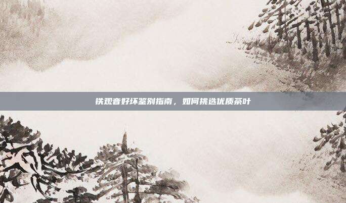 铁观音好坏鉴别指南，如何挑选优质茶叶