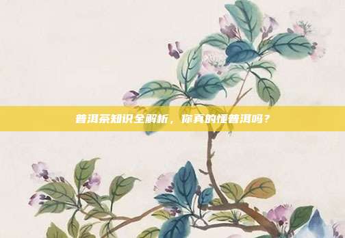 普洱茶知识全解析，你真的懂普洱吗？