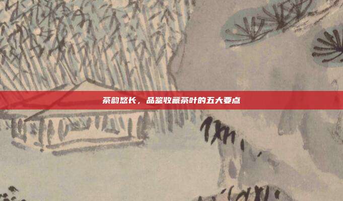 茶韵悠长，品鉴收藏茶叶的五大要点