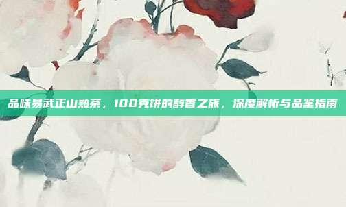 品味易武正山熟茶，100克饼的醇香之旅，深度解析与品鉴指南