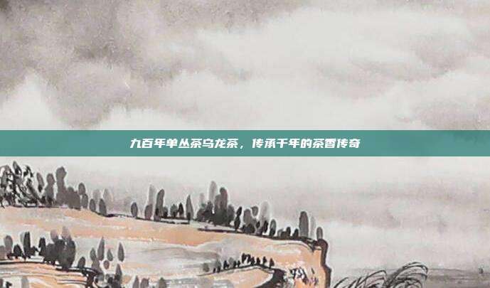 九百年单丛茶乌龙茶，传承千年的茶香传奇