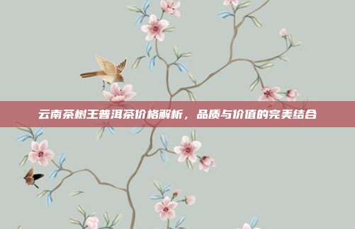 云南茶树王普洱茶价格解析，品质与价值的完美结合
