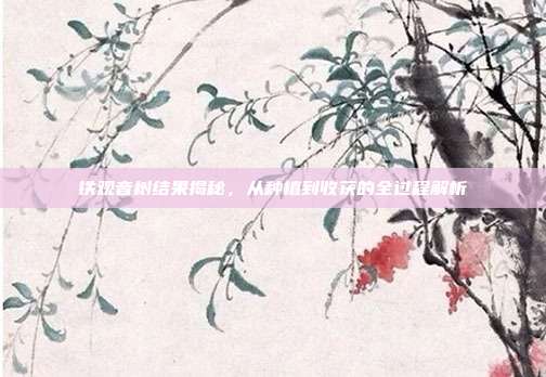铁观音树结果揭秘，从种植到收获的全过程解析