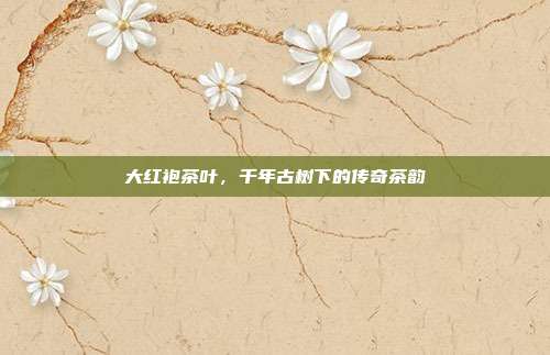 大红袍茶叶，千年古树下的传奇茶韵
