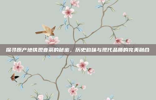 探寻原产地铁观音茶的秘密，历史韵味与现代品质的完美融合