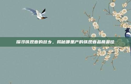 探寻铁观音的故乡，揭秘哪里产的铁观音品质最佳