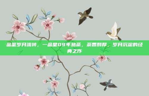 品鉴岁月流转，一品堂09年熟茶，茶香醇厚，岁月沉淀的经典之作