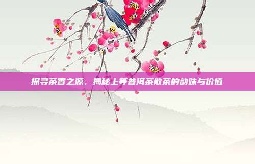 探寻茶香之源，揭秘上等普洱茶散茶的韵味与价值