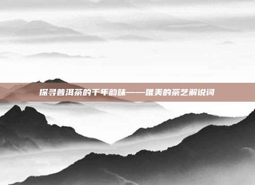 探寻普洱茶的千年韵味——唯美的茶艺解说词