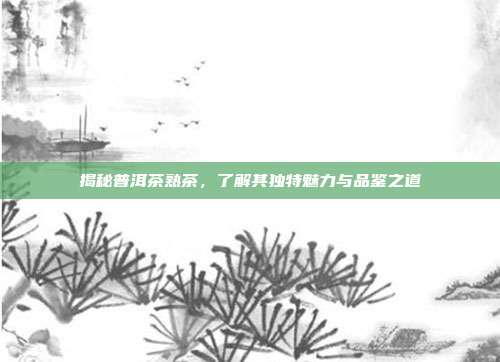 揭秘普洱茶熟茶，了解其独特魅力与品鉴之道