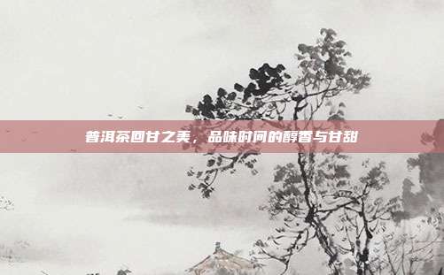 普洱茶回甘之美，品味时间的醇香与甘甜