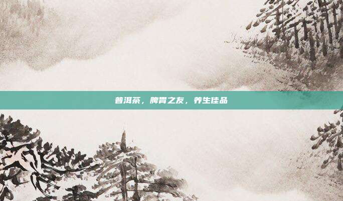 普洱茶，脾胃之友，养生佳品