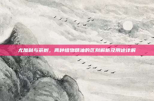 尤加利与茶树，两种植物精油的区别解析及用途详解