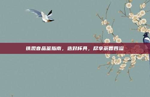 铁观音品鉴指南，选对杯具，尽享茶香四溢