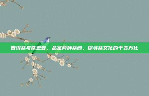 普洱茶与铁观音，品鉴两种茶韵，探寻茶文化的千变万化