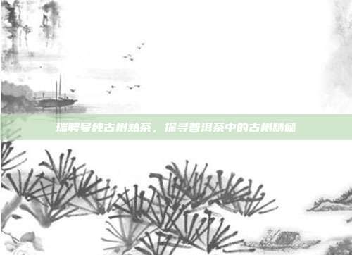 瑞聘号纯古树熟茶，探寻普洱茶中的古树精髓