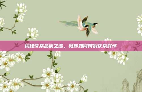 揭秘茯茶品质之谜，教你如何辨别茯茶好坏