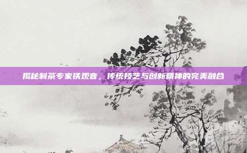 揭秘制茶专家铁观音，传统技艺与创新精神的完美融合