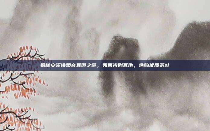 揭秘安溪铁观音真假之谜，如何辨别真伪，选购优质茶叶