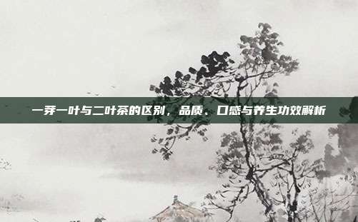 一芽一叶与二叶茶的区别，品质、口感与养生功效解析