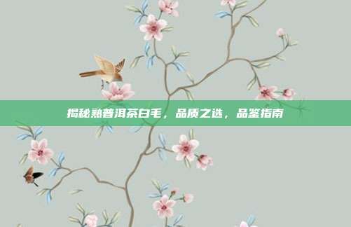 揭秘熟普洱茶白毛，品质之选，品鉴指南