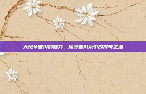 大班章普洱的魅力，探寻普洱茶中的传奇之选