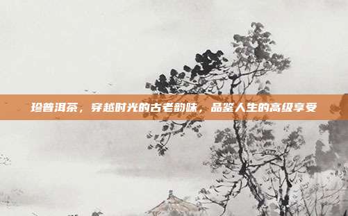 珍普洱茶，穿越时光的古老韵味，品鉴人生的高级享受
