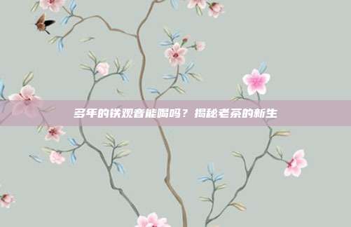 多年的铁观音能喝吗？揭秘老茶的新生