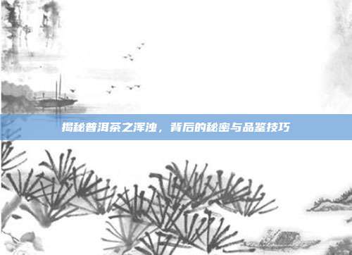 揭秘普洱茶之浑浊，背后的秘密与品鉴技巧