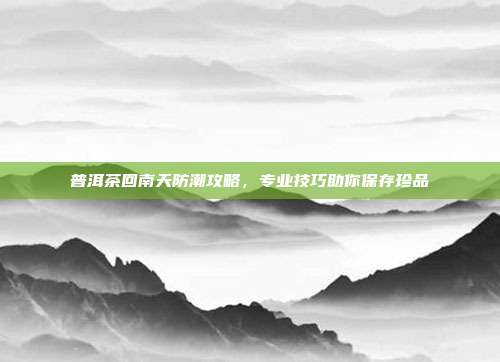 普洱茶回南天防潮攻略，专业技巧助你保存珍品