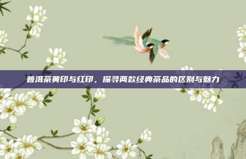 普洱茶黄印与红印，探寻两款经典茶品的区别与魅力