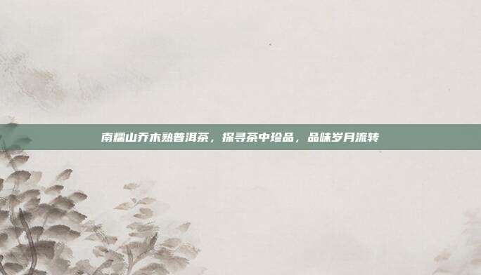 南糯山乔木熟普洱茶，探寻茶中珍品，品味岁月流转